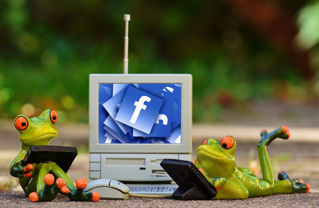 facebook frogs